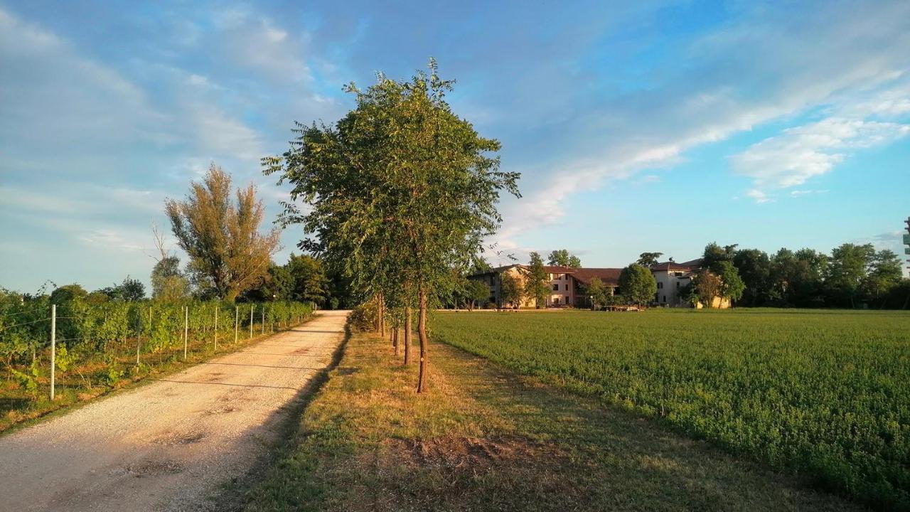 Agriturismo Alle Albare Montorio Veronese Exterior foto